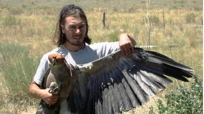 VET Comunicaciones | Artículos y Notas | Monitorean comportamiento del  Águila coronada para su conservación